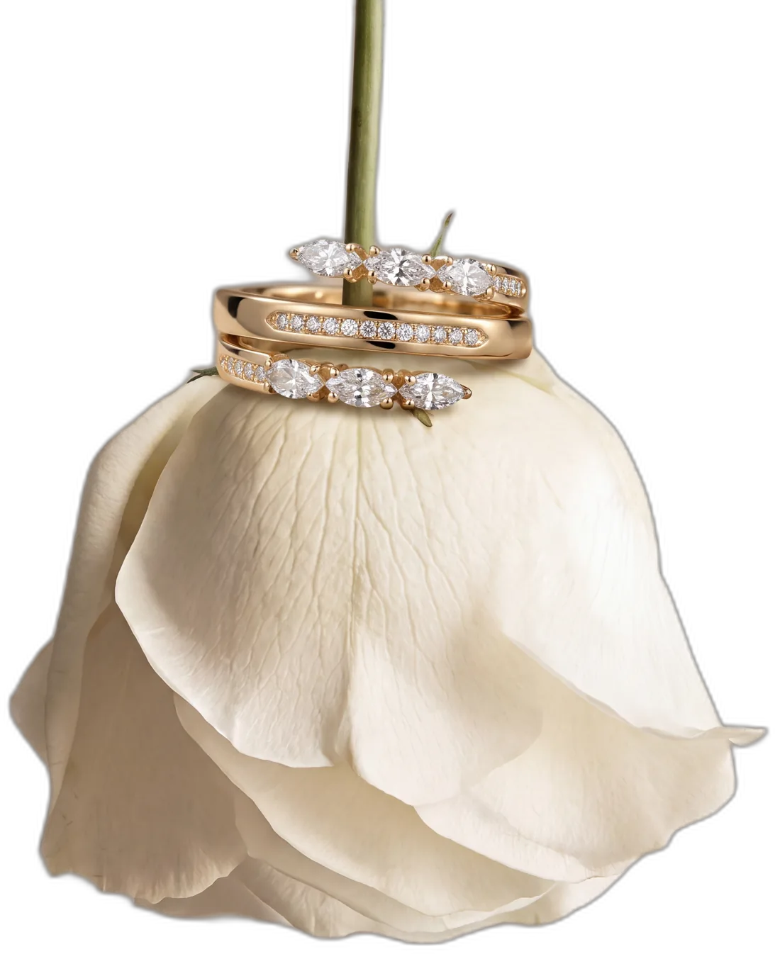 A white rose hanging from its stem with three marquise diamond rings — AI jewelry photography for Marquise Jewelry, Lebanon